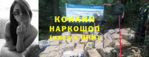 дурь Сосновый Бор
